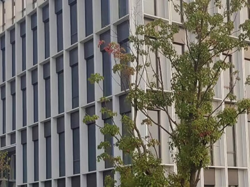 玻璃幕墻的安裝難在哪方面？